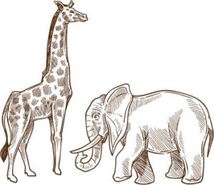 La girafe et l'éléphant