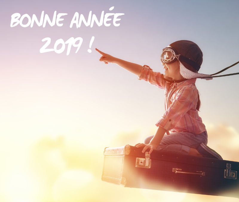 BONNE ANNÉE 2019 !